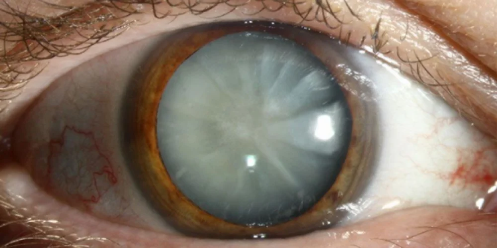 WhatsApp Image 2025-10-16 at 1.04.28 PM (1)